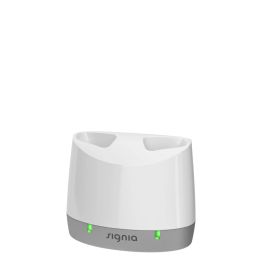 Standard Laddare BTE P