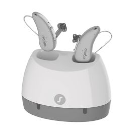 Standard Laddare RIC